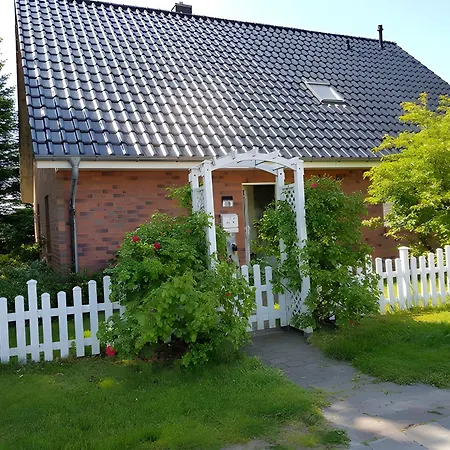 Abendsonne * Lehe (Schleswig-Holstein)