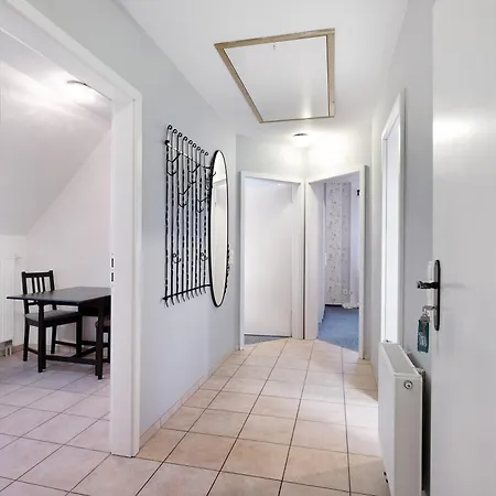 Abendsonne * Lehe (Schleswig-Holstein)